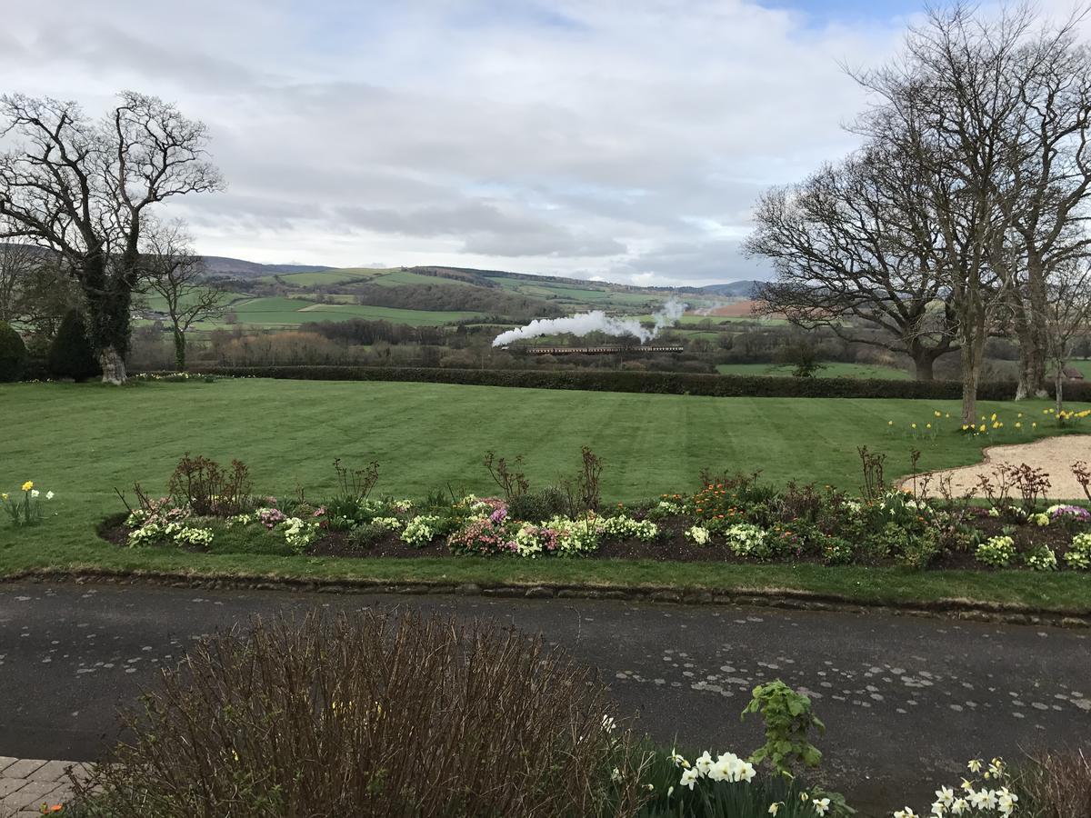 Cedar House 4*